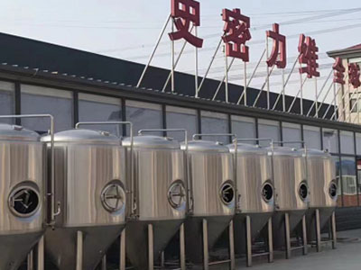 瓜州精酿啤酒设备厂—市场规模与跨界新需求